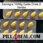 Kamagra 100Mg Gelée Orale À Vendre cialis2